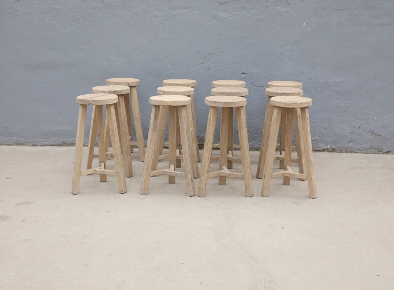 Barkruk elm