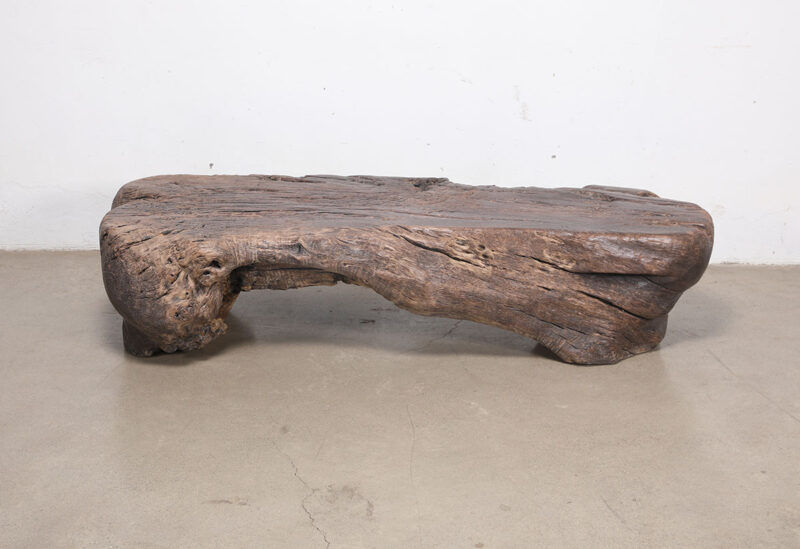 Coffee table tree trunk
