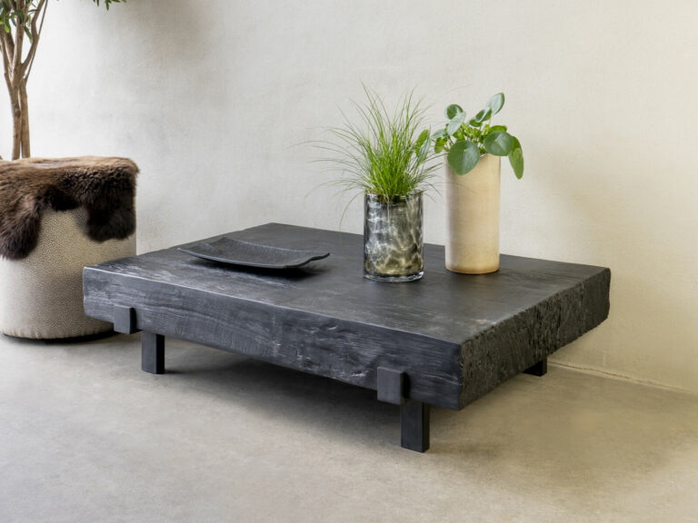 STOER Robuust salontafel 120x80 Black