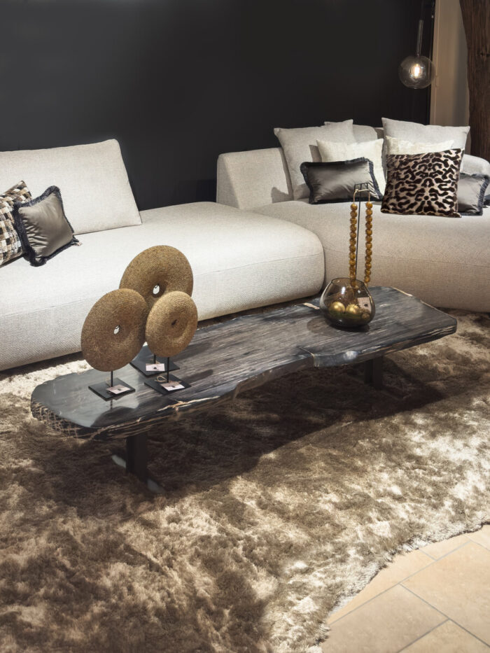 Salontafel Versteend hout Donkerbruin