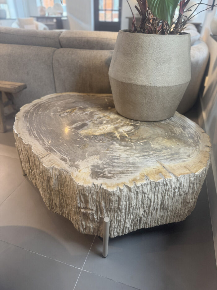 Salontafel Petrified Wood Met 30cm Blad Dikte