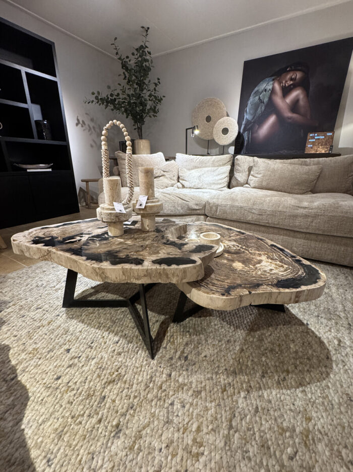 Salontafel Set Van Versteend Hout In Contrastrijke Aardse Tinten