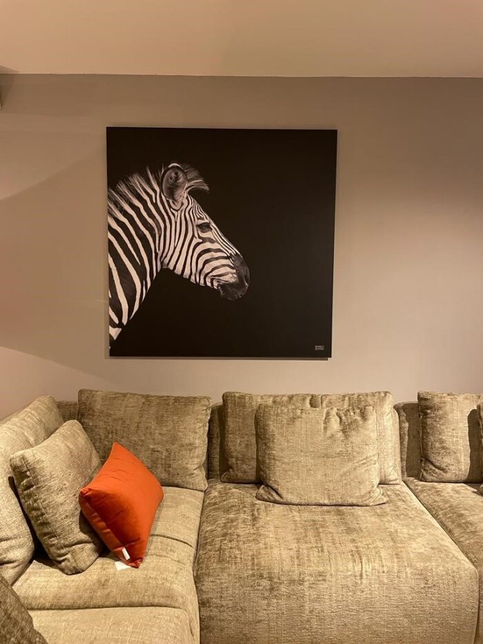 Zebra